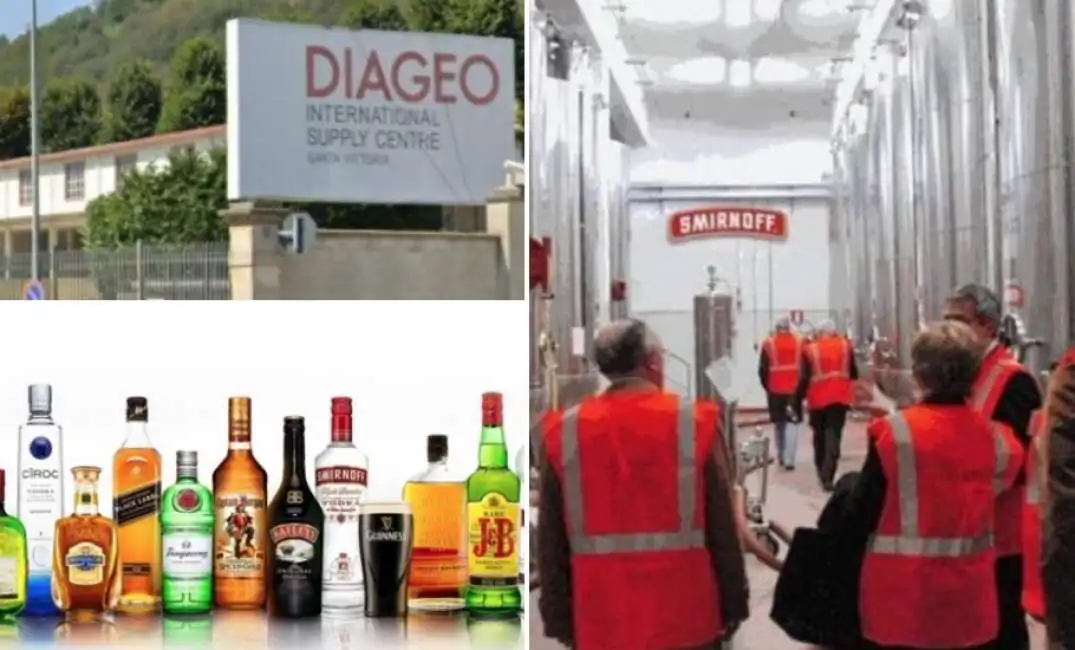 diageo alcolici cinzano 