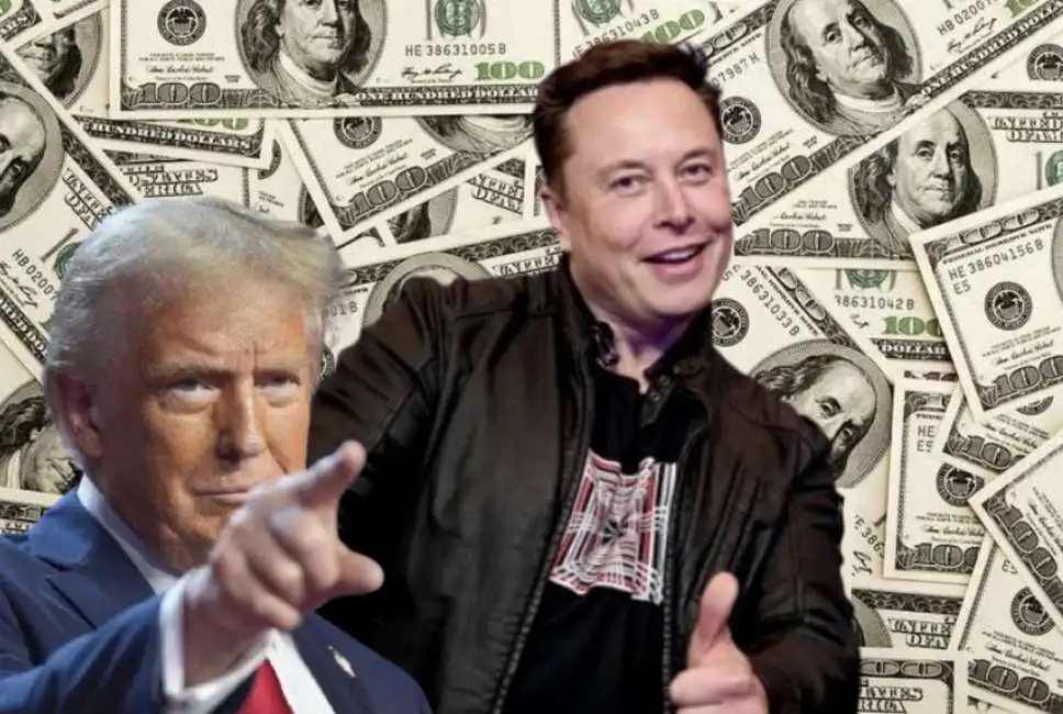 donald trump elon musk 