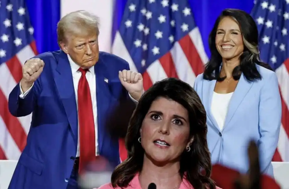 donald trump nikki haley tulsi gabbard 