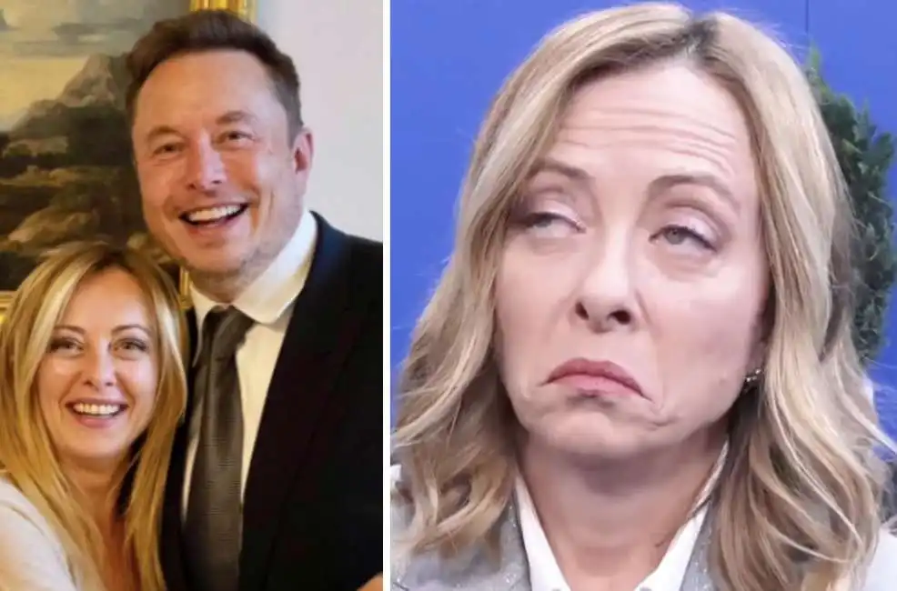 giorgia meloni elon musk 