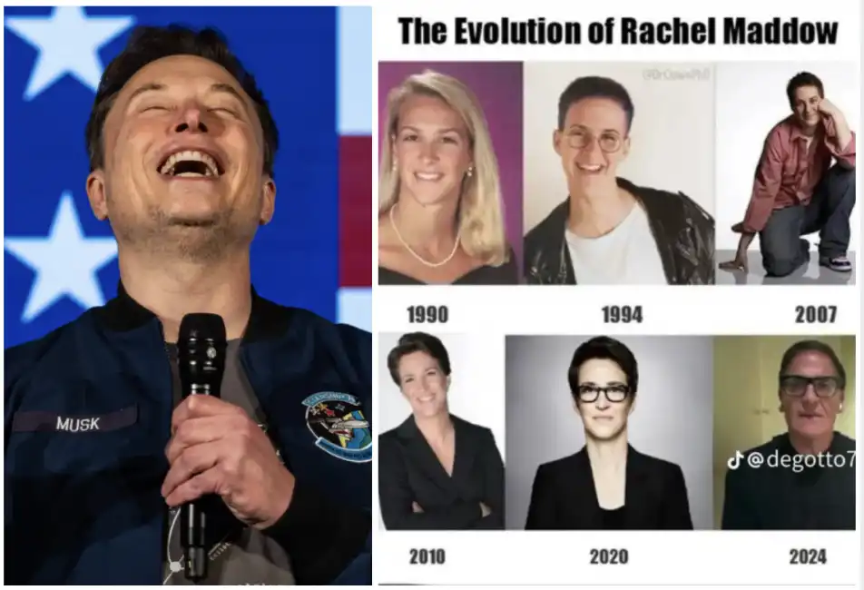 rachel maddow elon musk