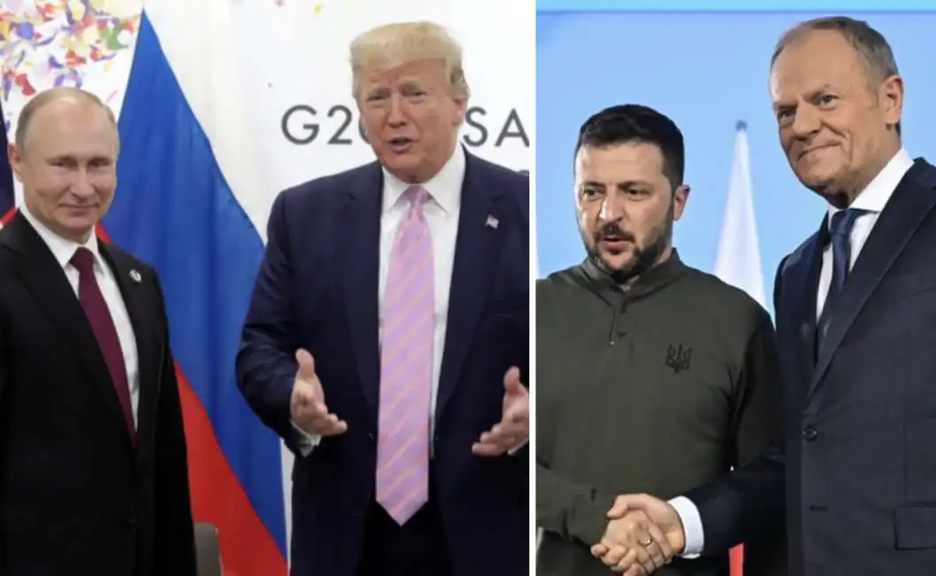 vladimir putin donald trump volodymyr zelensky tusk 