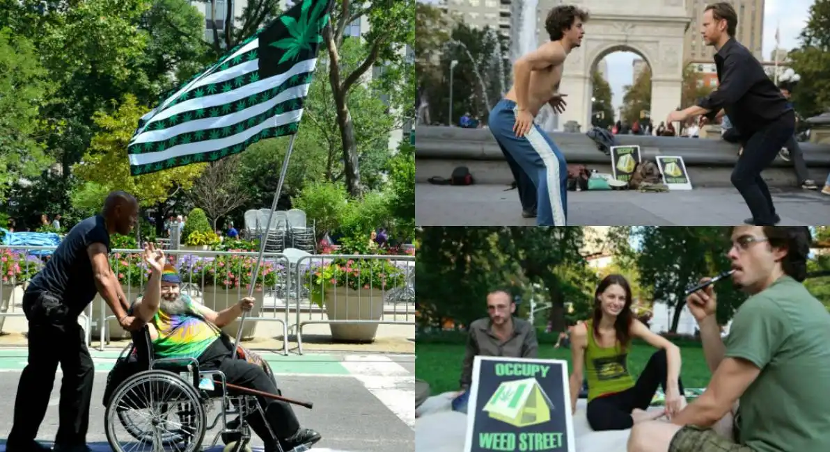 occupy weed street marijuana