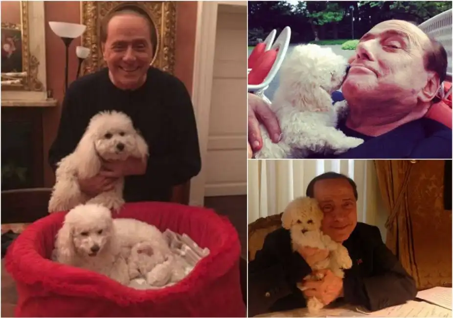 berlusconi dudu dudina 