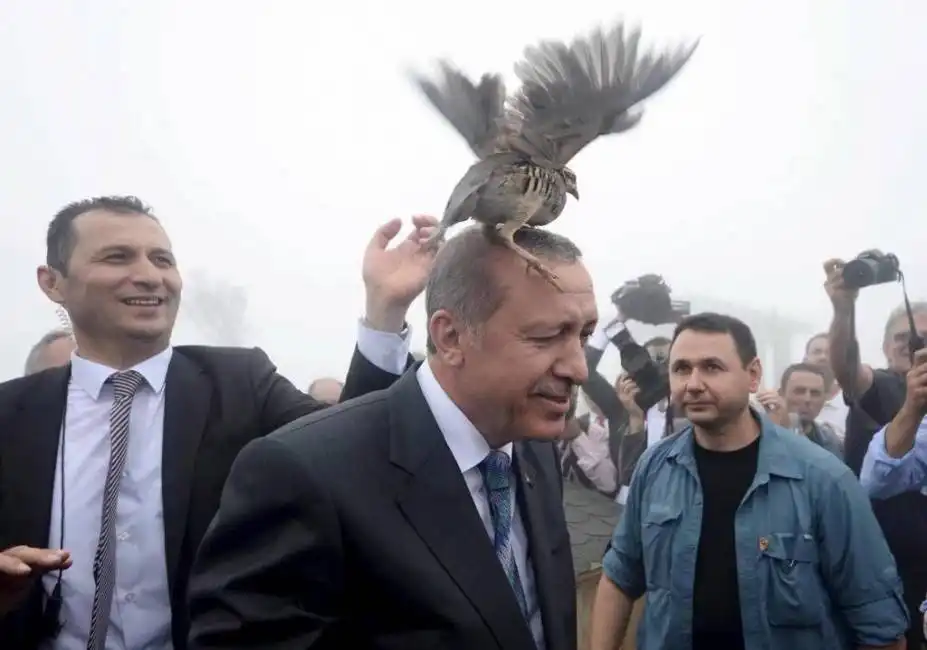 erdogan uccello