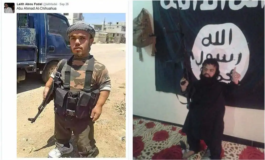 nano isis al nusra