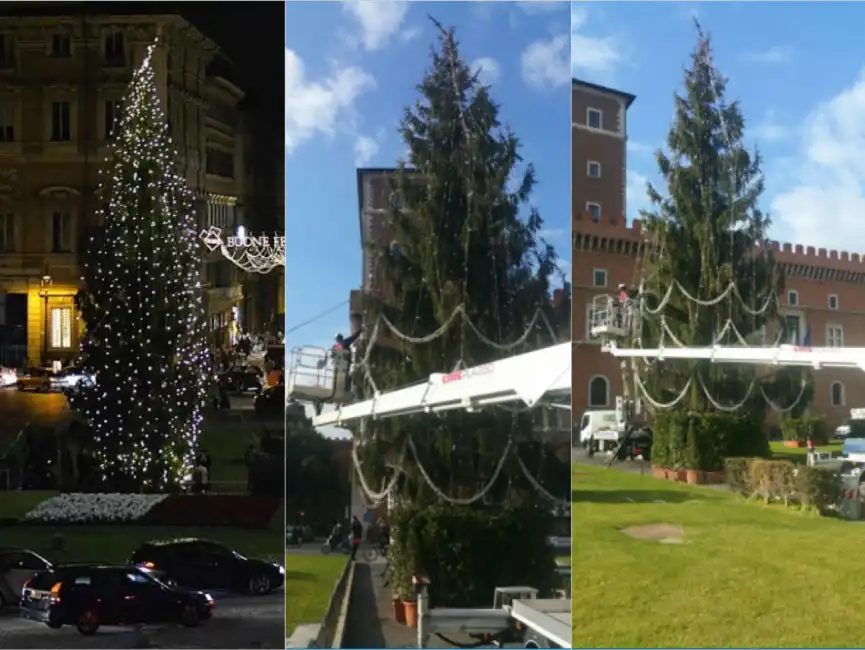 albero piazza venezia