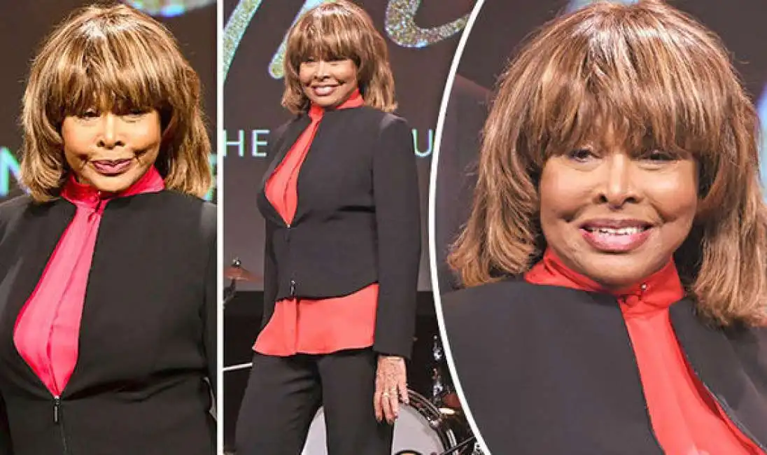 tina turner 