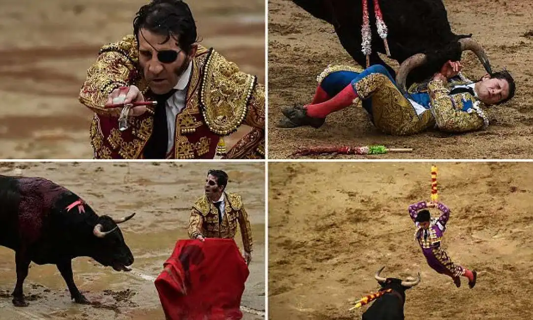 torero il pirata