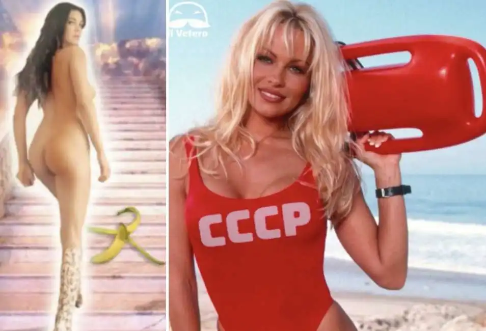 arcuri pamela anderson