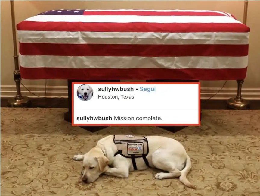 sully cane george h.w. bush