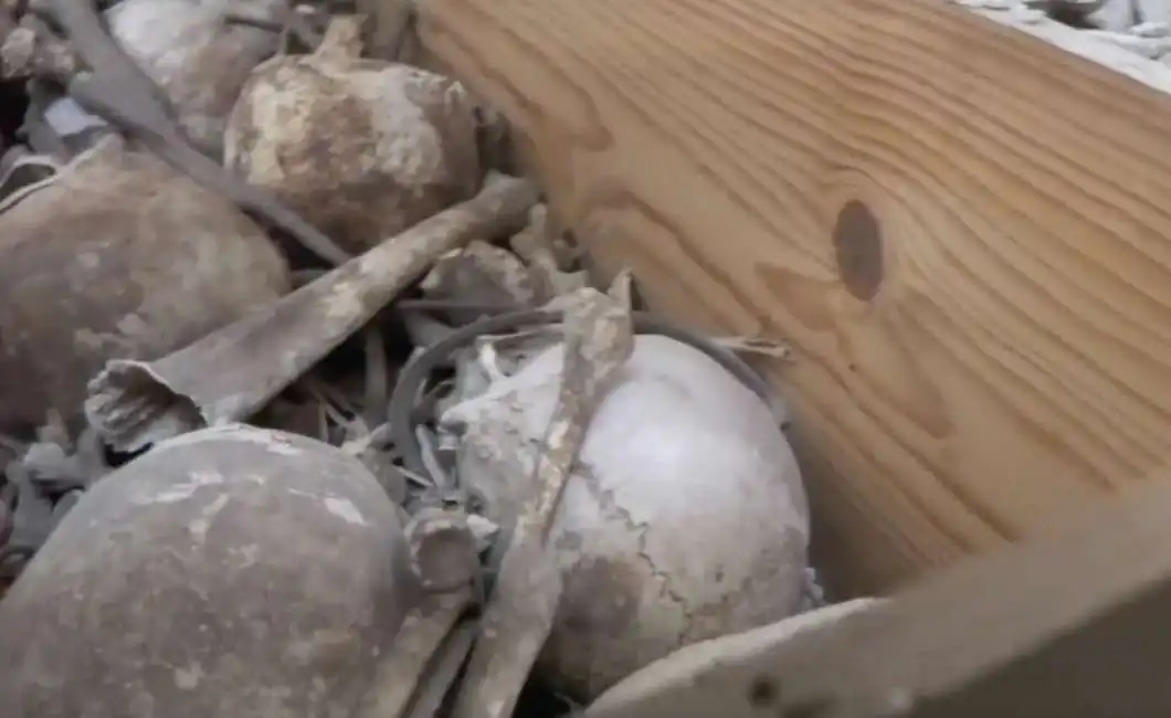 tombe scheletri cimitero napoli