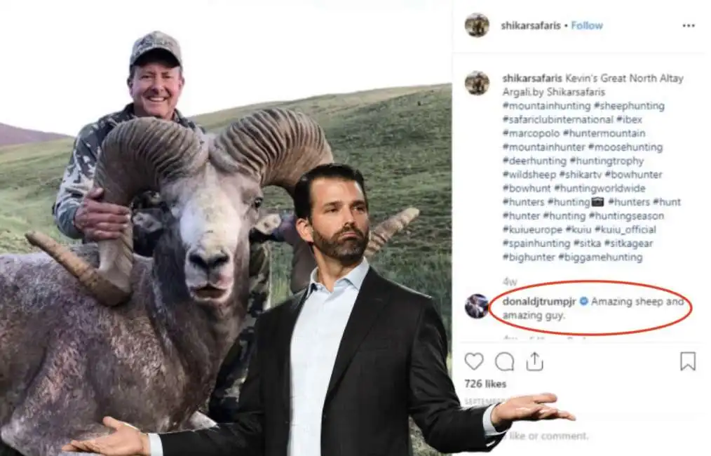 donald trump jr mongolia pecora argali 