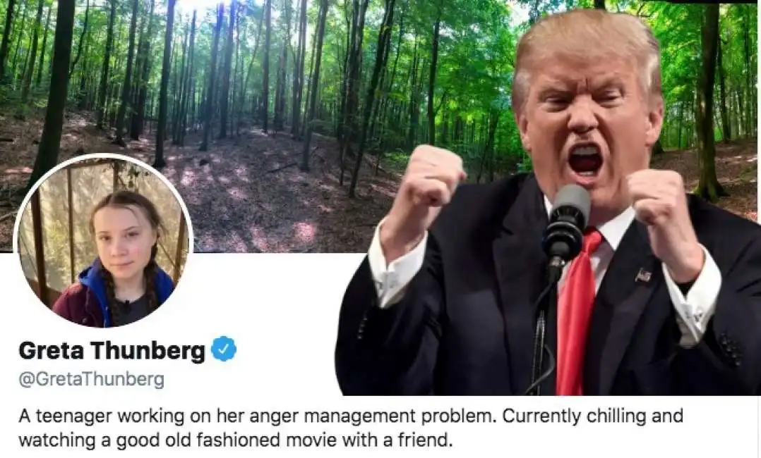 greta thunberg donald trump