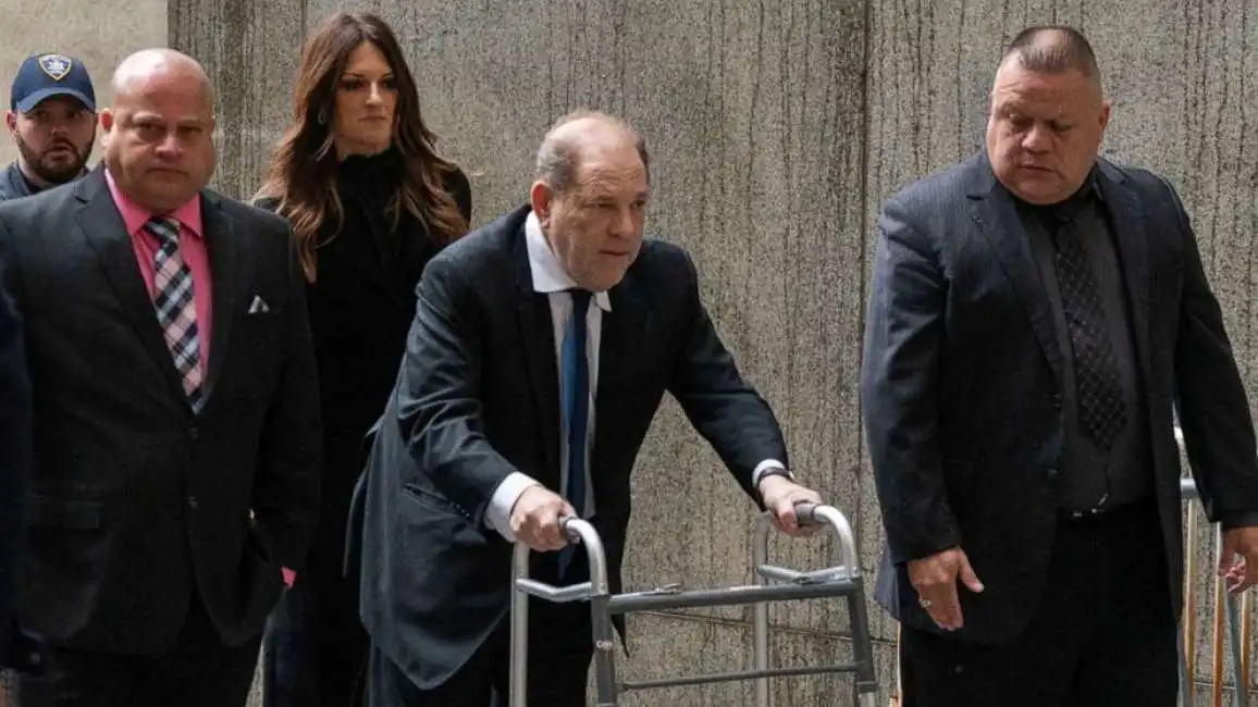 harvey weinstein 