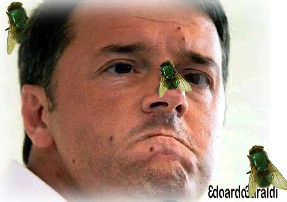 matteo renzi mosca al naso