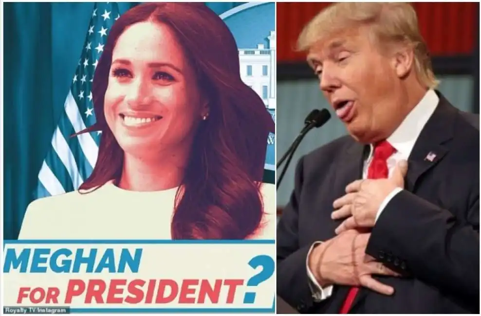 meghan markle donald trump