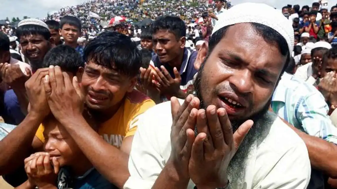 rohingya