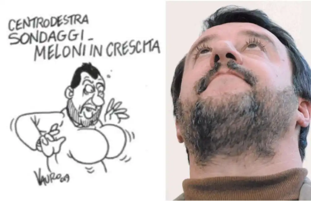 salvini meloni