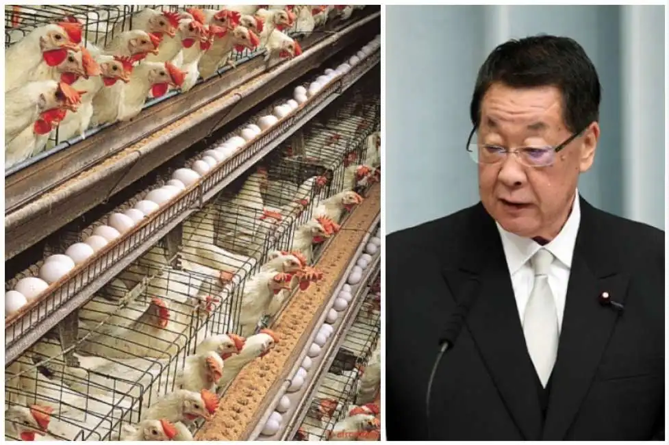 galline ministro agricoltura giapppone