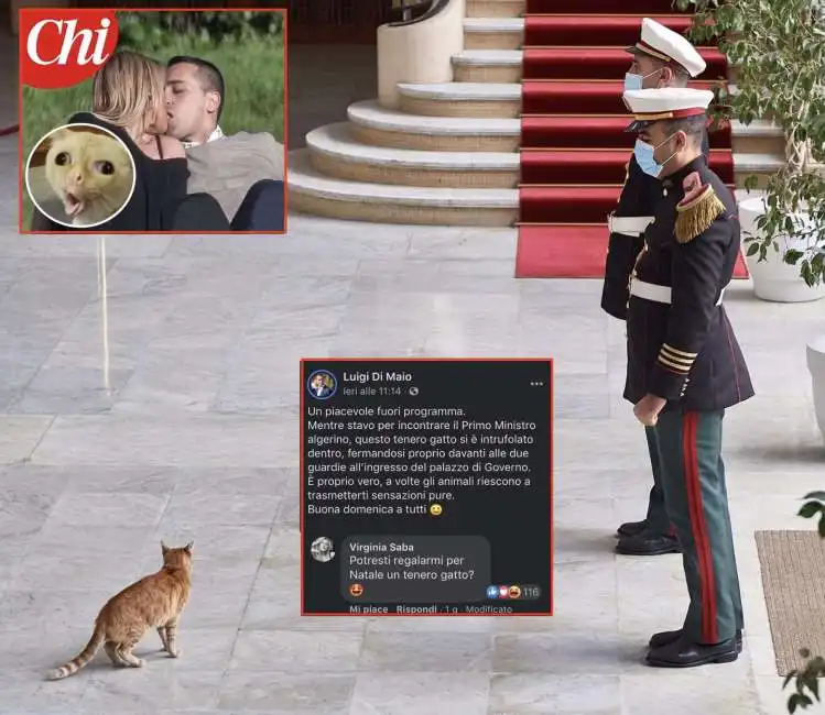 luigi di maio virgina saba gatto