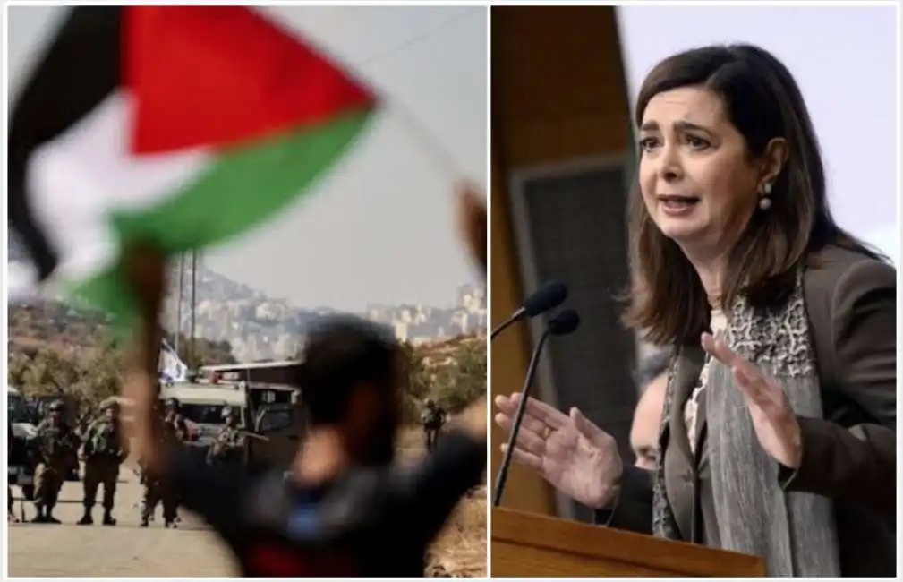 boldrini ong palestina organizzazioni terroristiche