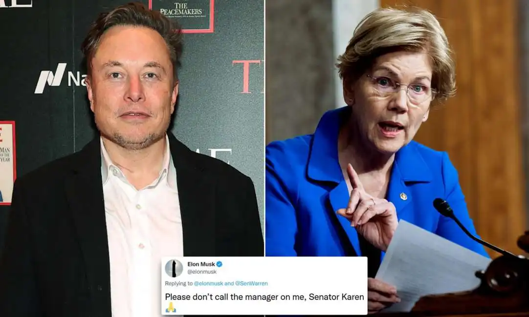 elon musk elizabeth warren 