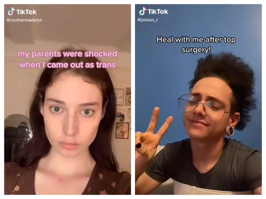 tik tok trans