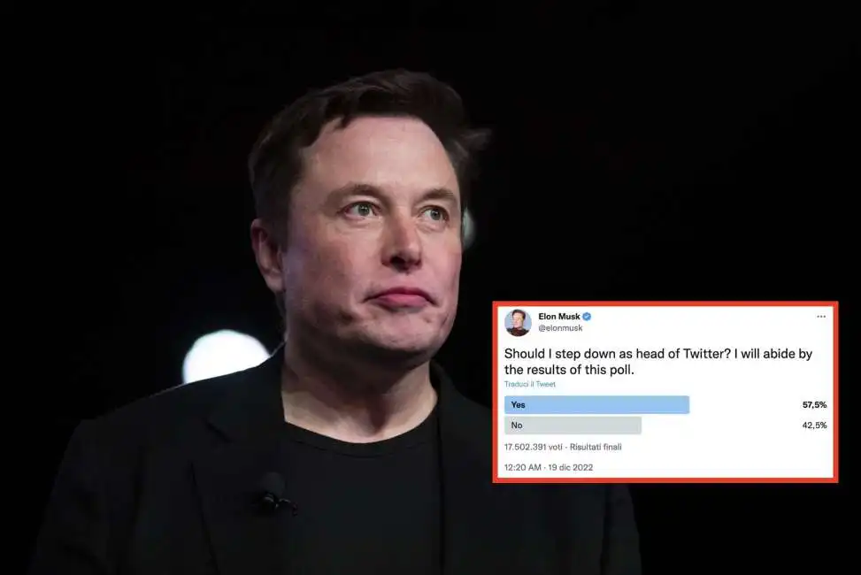 elon musk sondaggio twitter