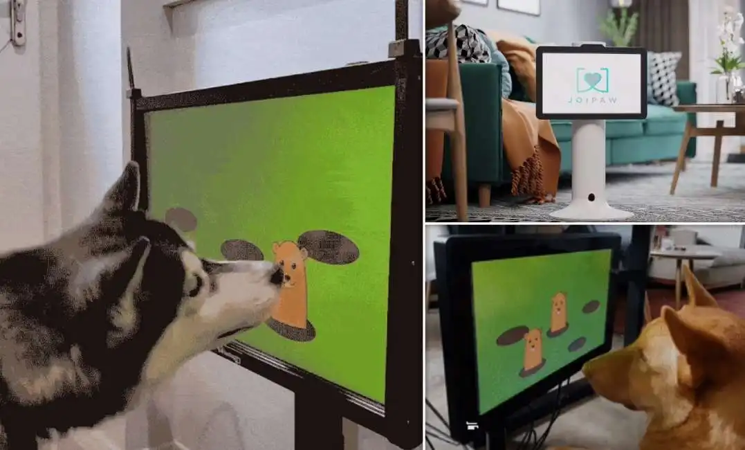 joipaw il videogioco per cani