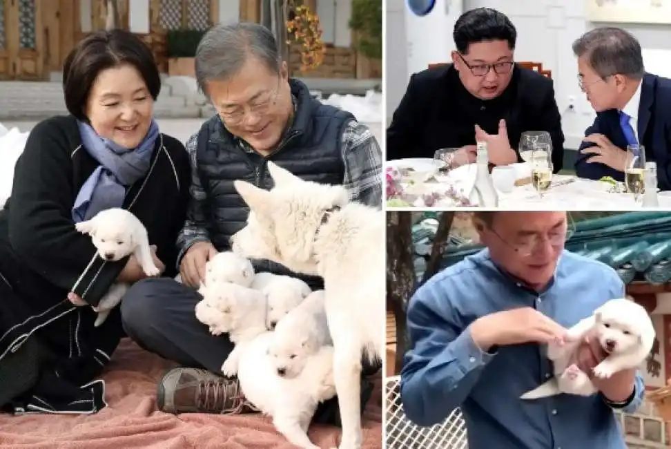 moon jae-in kim jong un cani