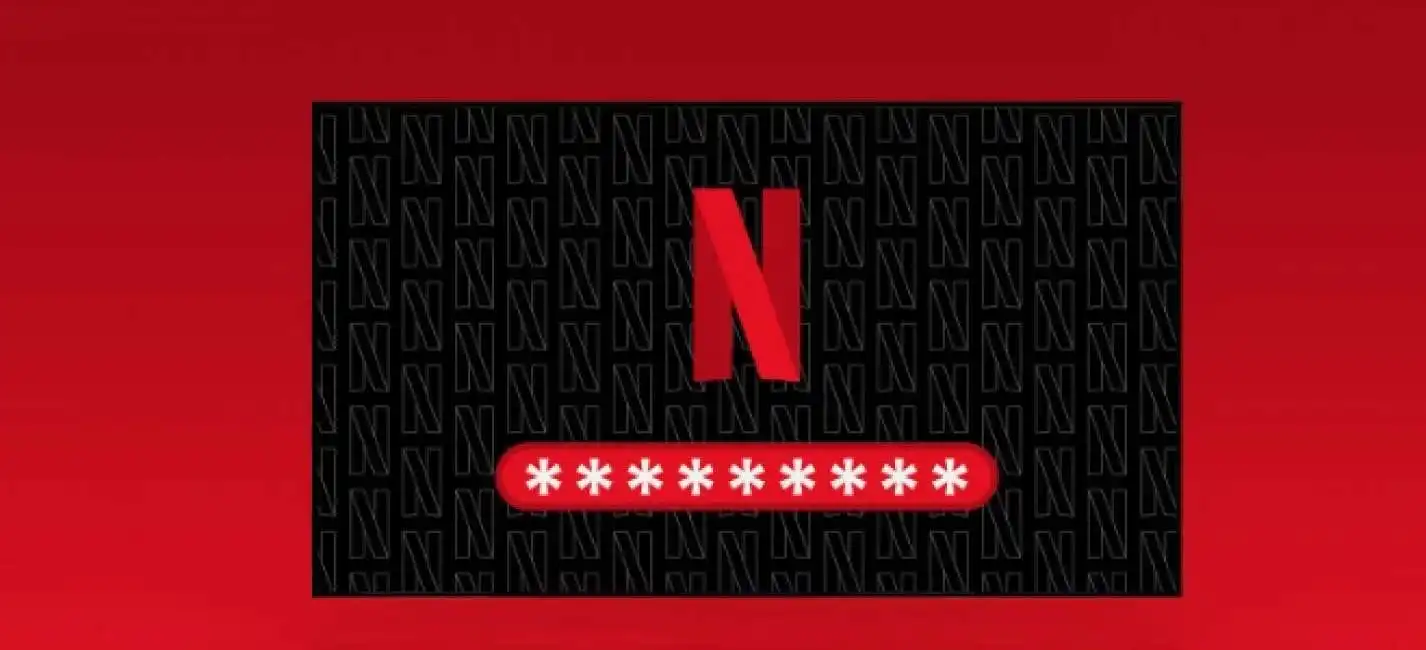 netflix password