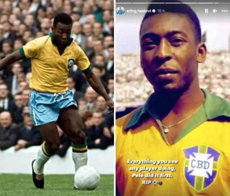 pele haaland