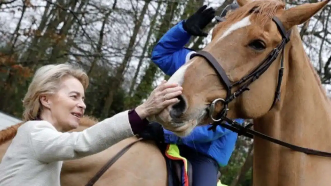 ursula von der leyen cavallo