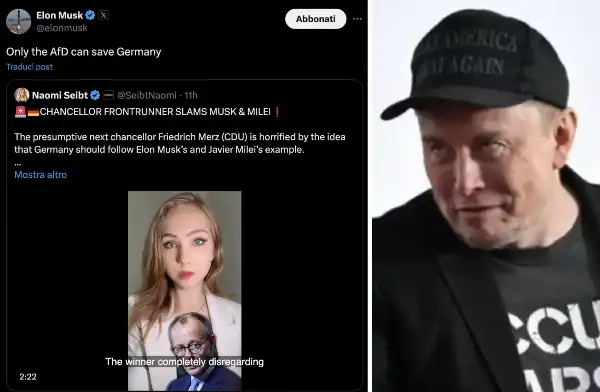 elon musk afd germania 