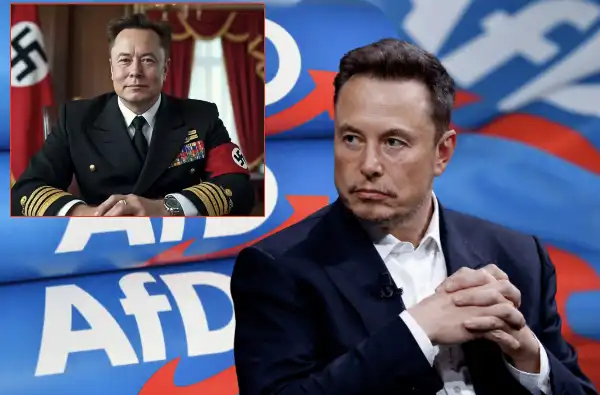 elon musk nazismo afd