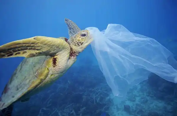 plastica inquinamento acqua mare oceano 