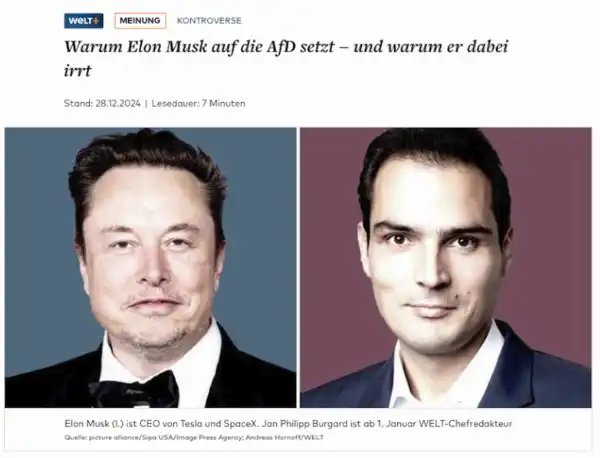 welt elon musk